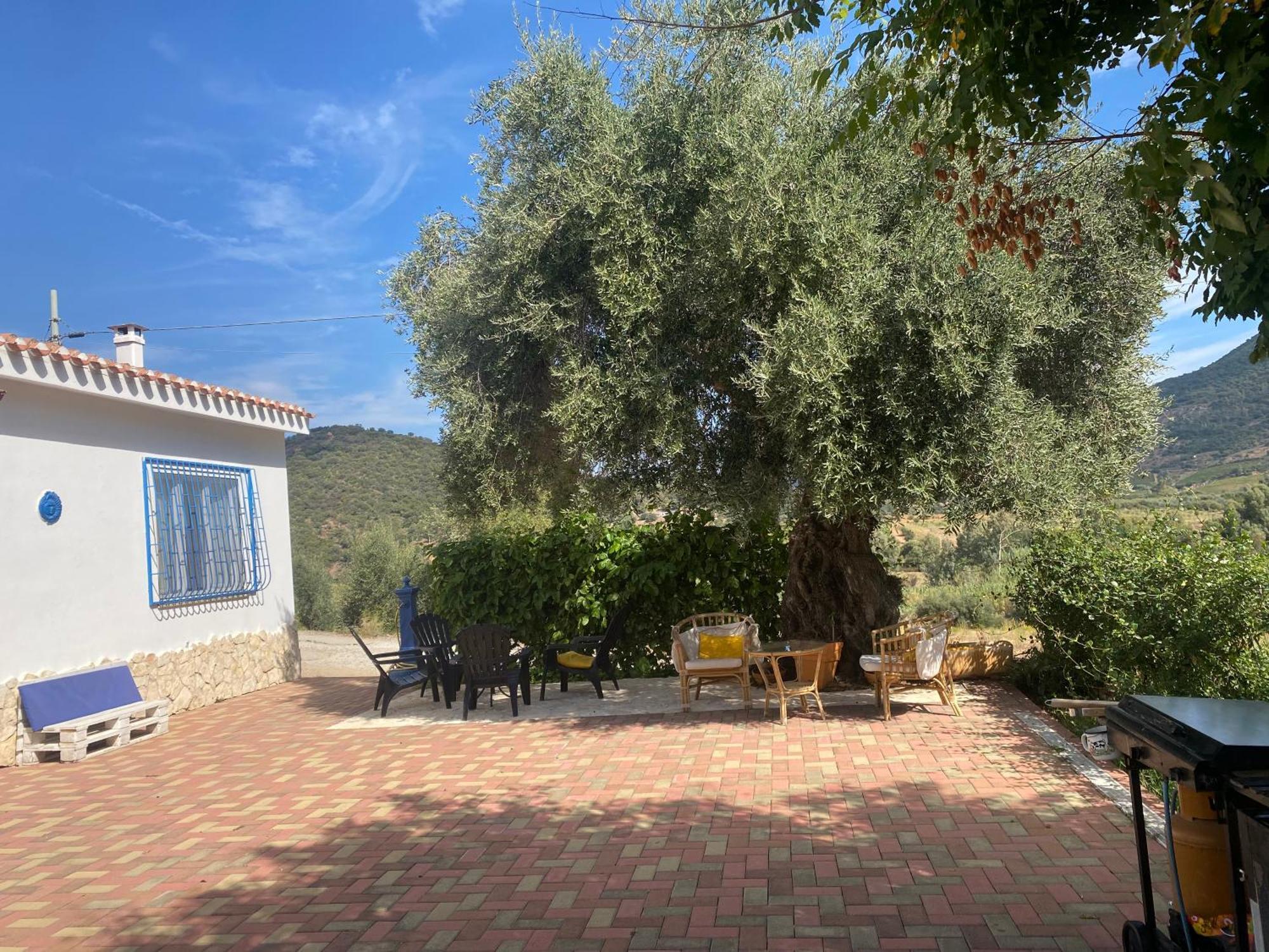 Villa Domo Mea Cardedu Exterior foto