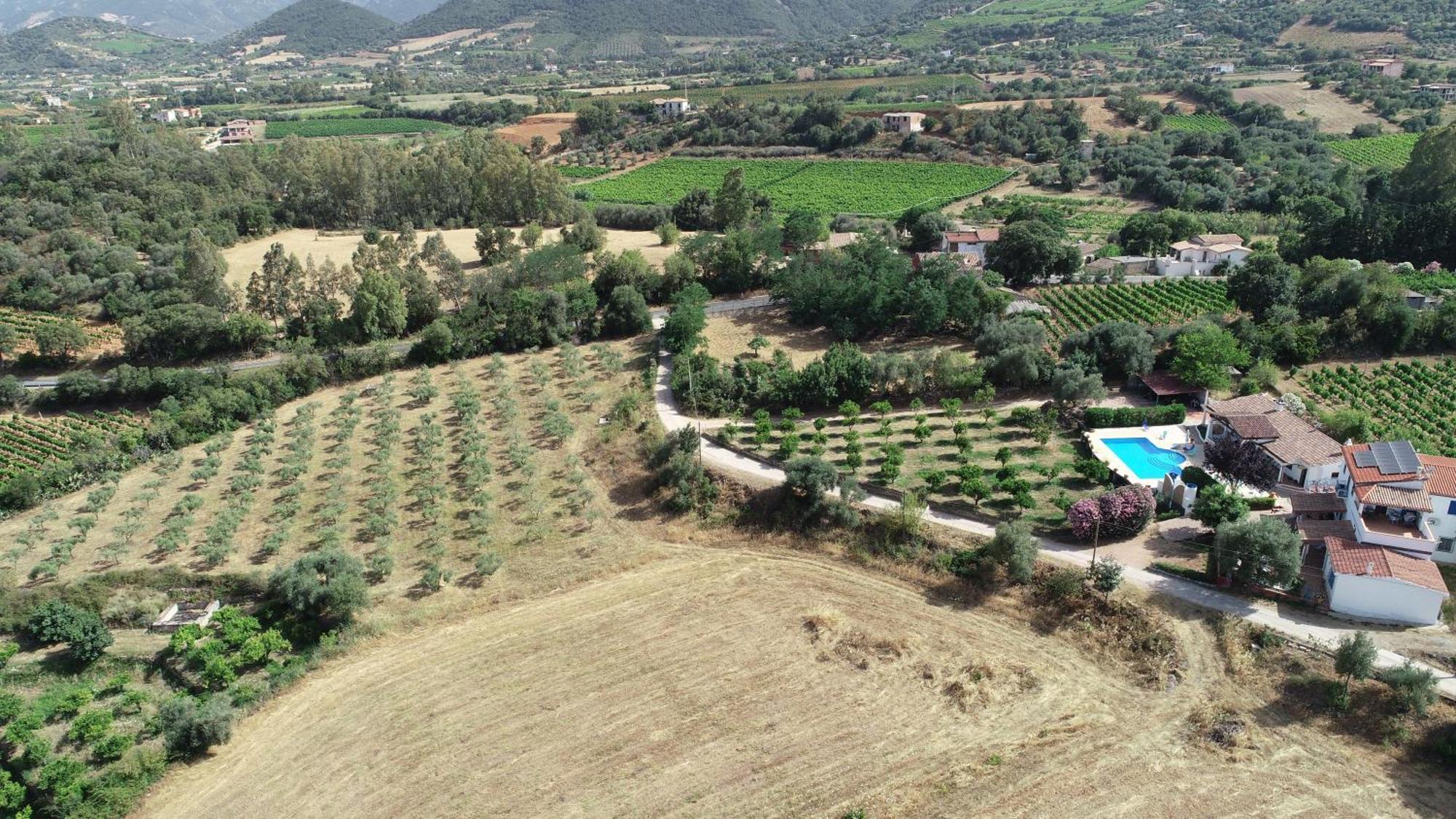 Villa Domo Mea Cardedu Exterior foto